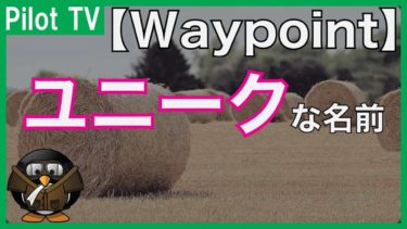 【ネーミング】福岡の辺りには面白い名前のウェイポイントがある!